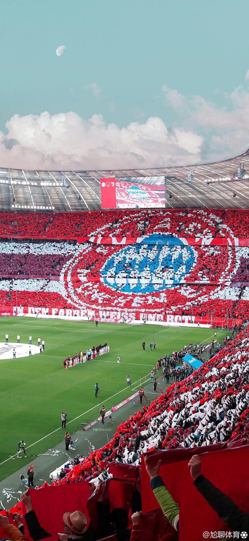 对策影响 对策影响